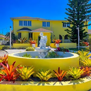 3* Bed and breakfast Golden Palms House